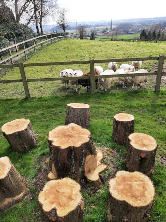 Vakantiehuis DE RIEKE 16 personen Ronse Buitenkant foto